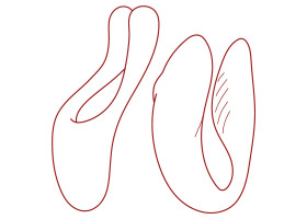 Sextoys pour couple. Acheter les meilleurs jouets en ligne - KissKiss
