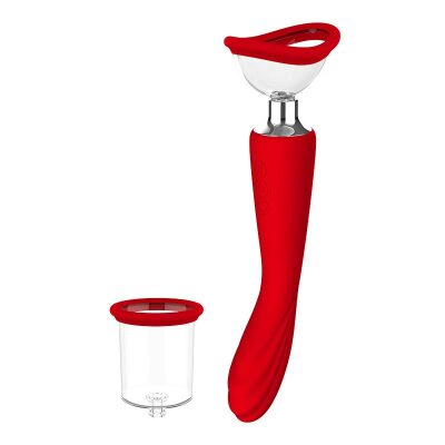DreamToys Georgia | Vibromasseur et pompe vaginale de couleur rouge