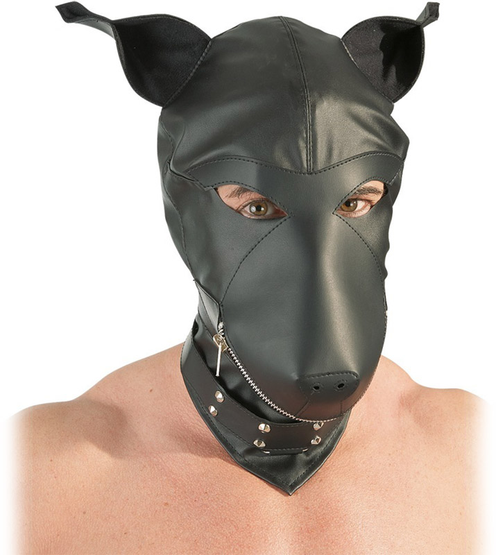 Masque de chien avec collier  rivets Fetish Collection Devotion