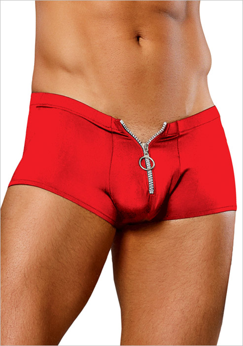 Male Power Zipper Shorts - Rot (S/M)