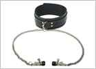 Master Series Coveted collar with nipple clamps
