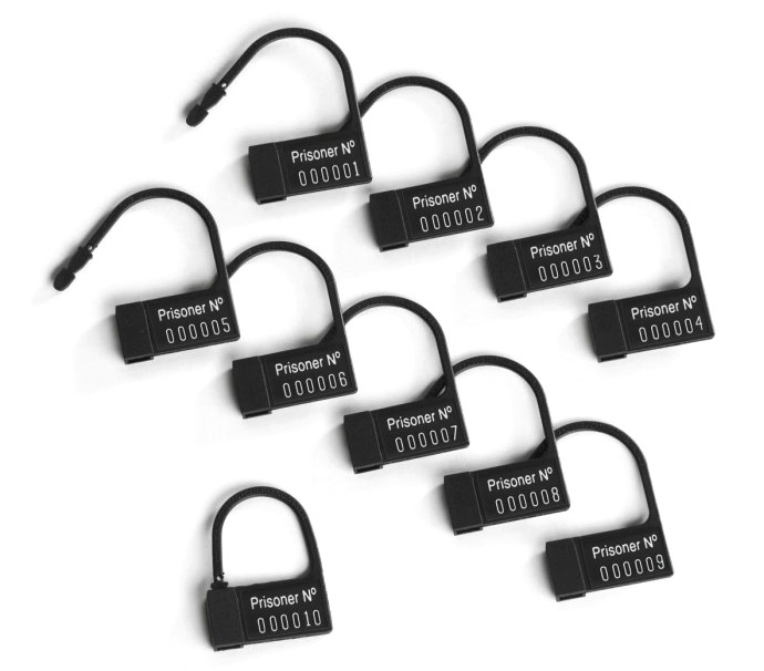 Mystim plastic Seals for chastity cages (10 pieces)