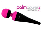 PalmPower Rechargeable Vibrator