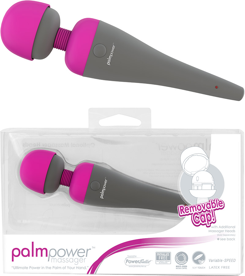 PalmPower Massager Vibrator