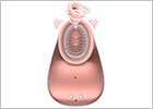 Twitch Innovation Klitorisstimulator (saugend und vibrierend) - Rosa