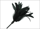 Plumeau Sportsheets Starburst Feather Body Tickler - Noir