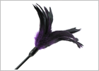 Sportsheets Starburst Feather Body Tickler - Purple